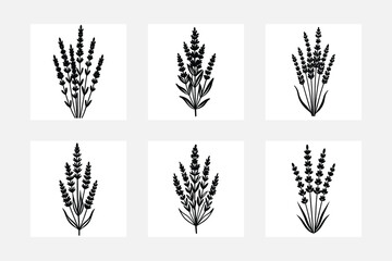 Obraz premium Captivating Minimal Lavender Flower Artwork Designs 