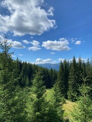 Fototapeta premium beautiful view with path to the mountains