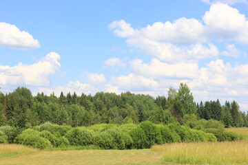 Obraz premium Field of dry grass that has been cut, with forest near the edge of the field under a clear blue sky. 