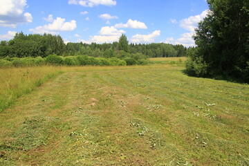 Field of dry grass that has been cut, with forest near the edge of the field under a clear blue sky. 