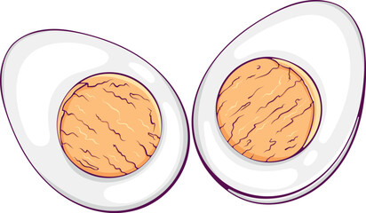 Boiled egg cut in half. Ingredient for cooking or breakfast food close-up. Yellow fresh raw yolk. Color vector illustration in hand drawn style. Keto diet product isolated on white