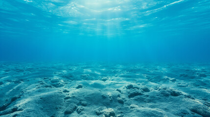 underwater view of a reef