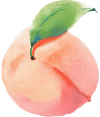 Fototapeta premium Juicy peach with leaf