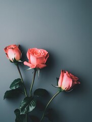 Obraz premium Three pink roses in a decorative vase placed on a gray background, ideal for use as a still life image or to represent love and romance