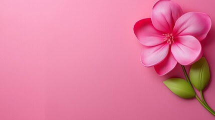Fototapeta premium Pink flower on a pink background