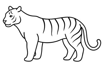 A Tiger vector art illustration