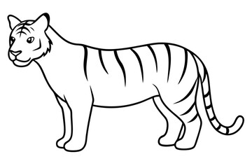 A Tiger vector art illustration