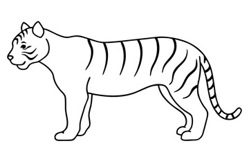 Fototapeta premium A Tiger vector art illustration