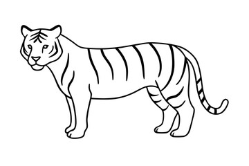 A Tiger vector art illustration