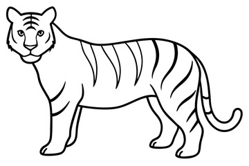A Tiger vector art illustration