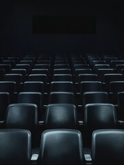 Fototapeta premium Empty Theater with Black Seats