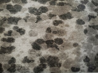 Unique pattern wall texture for abstrack background or 3D rendering 