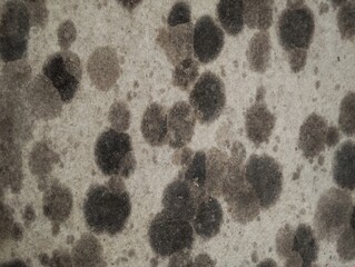Unique pattern wall texture for abstrack background or 3D rendering 