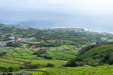 Fototapeta premium Lush green fields of the Azores, divided by stone walls forming neat rectangular plots, under a clear sky. A serene landscape showcasing the natural beauty and unique agriculture of the islands.