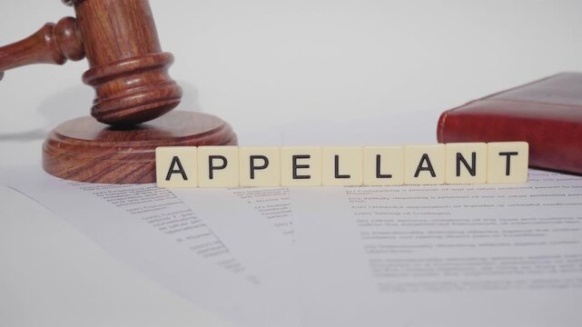 Word APPELLANT