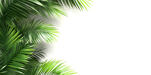 Fototapeta premium Frame with Tropical leaves on white background with copy space for text 