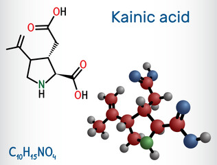 Kainic acid or kainate molecule. It is neuroexcitatory amino acid. Structural chemical formula, molecule model