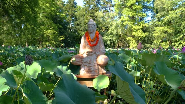 Buddhist statue in the middle of a pond full of pink blooming lotus flowers. It's summer and nature is blooming. In the Background we see a Forest.