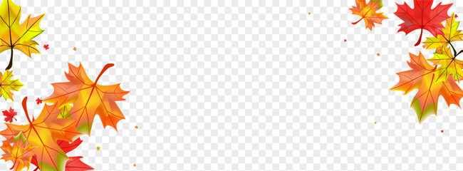 Golden Foliage Background Transparent Vector. Floral Abstract Frame. Green Ground Plant. Celebrate Leaves Texture.