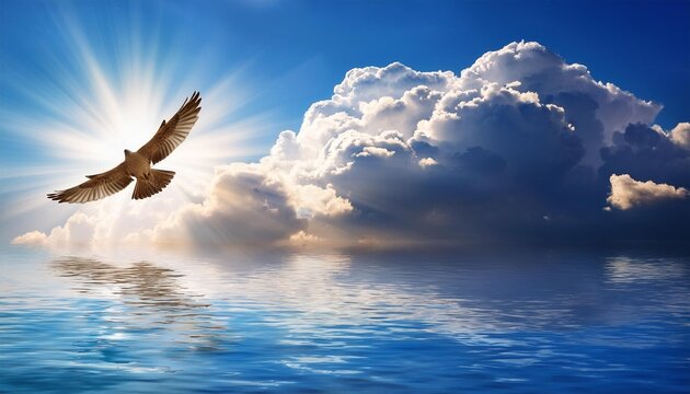 seagull flying over the clood