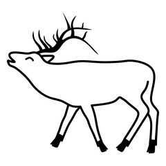 elk