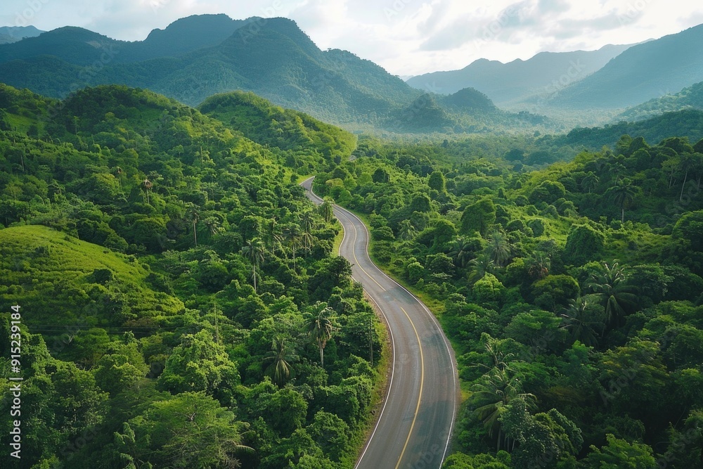 Canvas Prints Aerial view of a winding road in the jungle with lush green foliage and dense trees