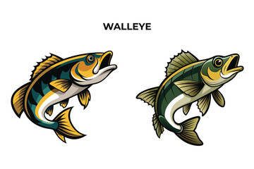 Detailed Walleye fish vector illustration. Perfect for culinary, marine, and environmental designs. High-quality vector for easy customization. Ideal for menus, packaging, education, and web graphics.