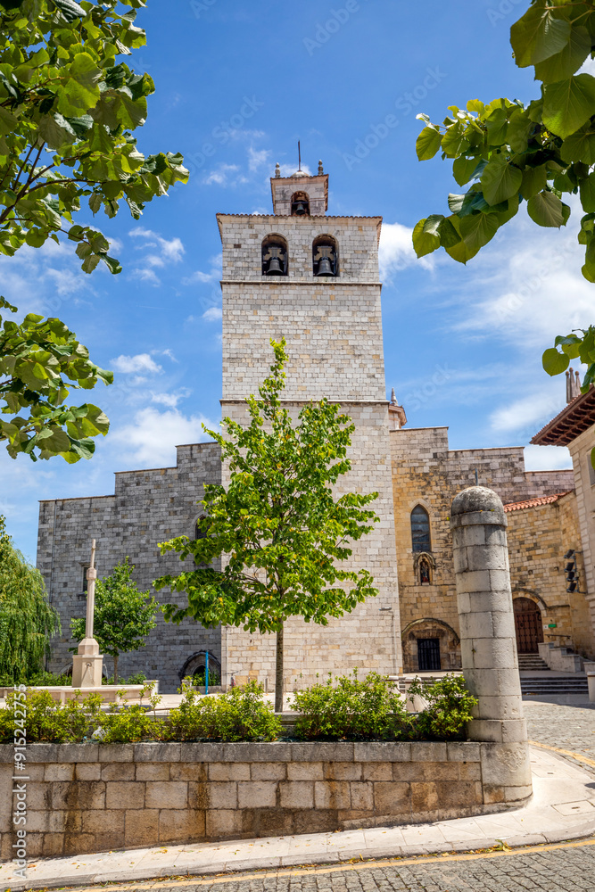 Canvas Prints vertical photo of the tower of the cathedral of santander, cantabria, spain, from a garden area with