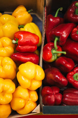 Pile of fresh organic bell peppers
