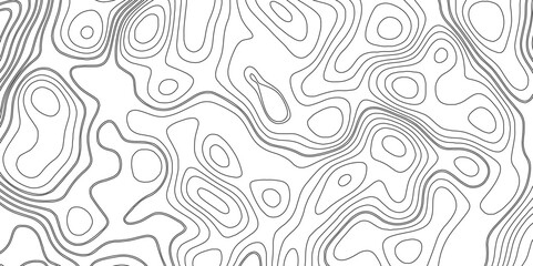 Abstract topographic curves vector pattern. Topo map with elevation. Contour map vector.