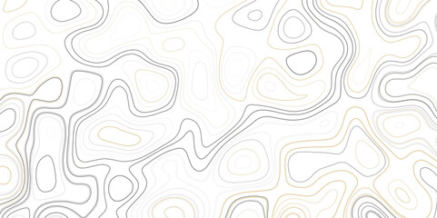 Abstract topographic curves vector pattern. Topo map with elevation. Contour map vector.