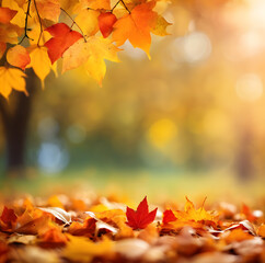 Fototapeta premium autumn leaves on the ground and background. soft background.