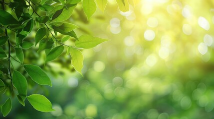 Greenery blur background, spring concept for natural design and fresh wallpaper