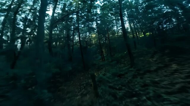 Dynamic Aerial View of Trees from FPV Drone