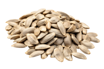Harvesting Nature’s Bounty: A Close-Up View of Sunflower Seeds in the Late Afternoon Sun on Transparent PNG Background.