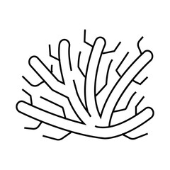 marine seaweed branch line icon vector. marine seaweed branch sign. isolated contour symbol black illustration