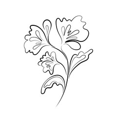 Abstract Flower Line Art, floral drawing, black lines isolated on white background, vector outline illustration