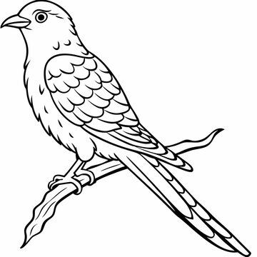 recommend clip art: A cuckoo is sitting on a branch line art