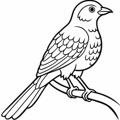 A cuckoo is sitting on a branch line art