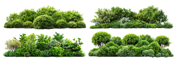 Set of green garden bushes, cut out