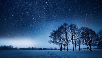 Snowy night with silhouette trees