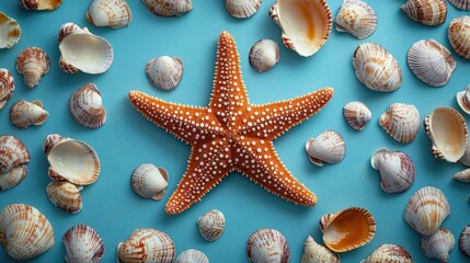 Starfish with Shells