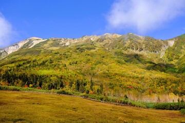 秋深まる栂池自然園の紅葉