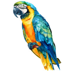 Obraz premium Beautiful parrot, watercolor illustration
