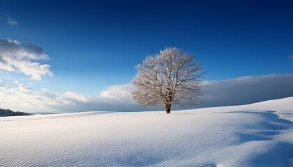 Snowy landscape with lone tree