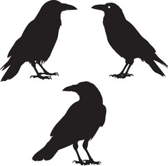 Crow Silhouette Vector