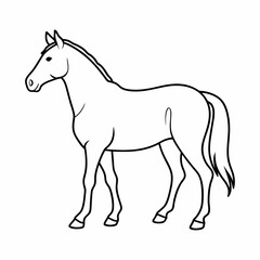 Silhouette of Horse