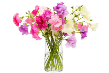 A Delightful Array of Colorful Sweet Pea Flowers in a Clear Vase on Transparent PNG Background.
