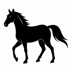 Vector of a horse isolated on white background Wild Animals