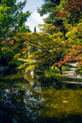 autumn in the park